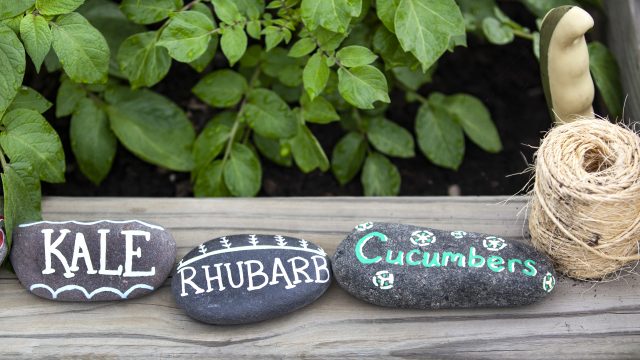 painted rocks for the garden