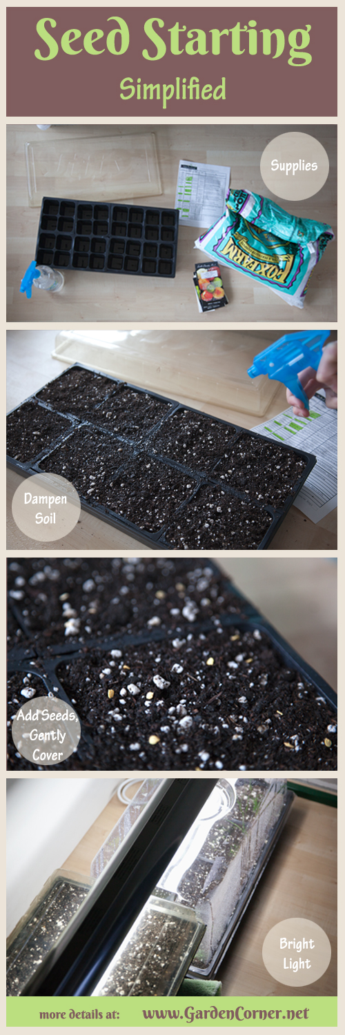 Seed Starting Steps
